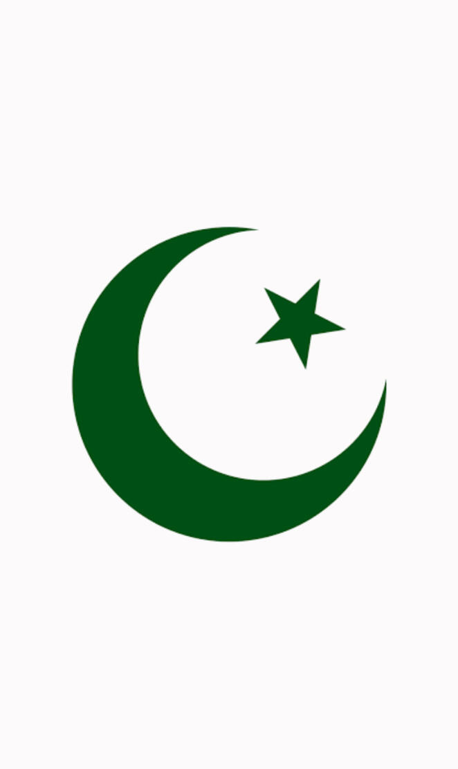 Pakistani Flag