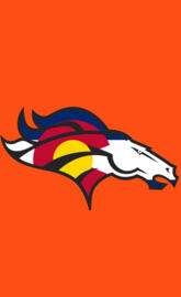 Colorado Flag Bronco