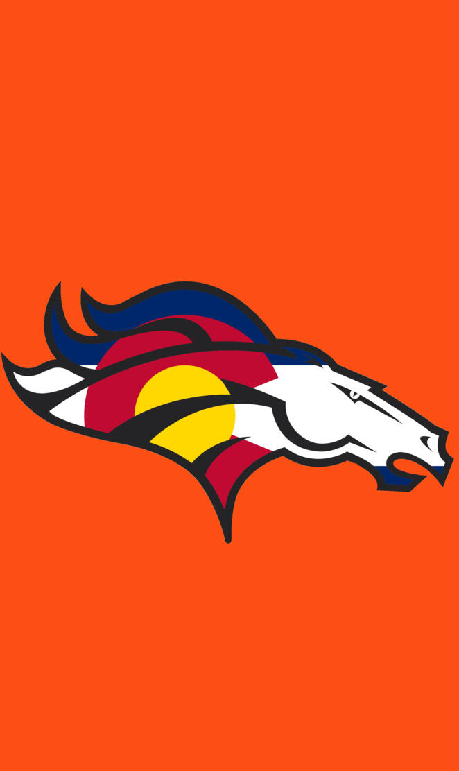 Colorado Flag Bronco
