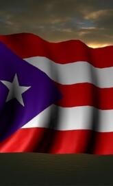 Puerto Rican Flag