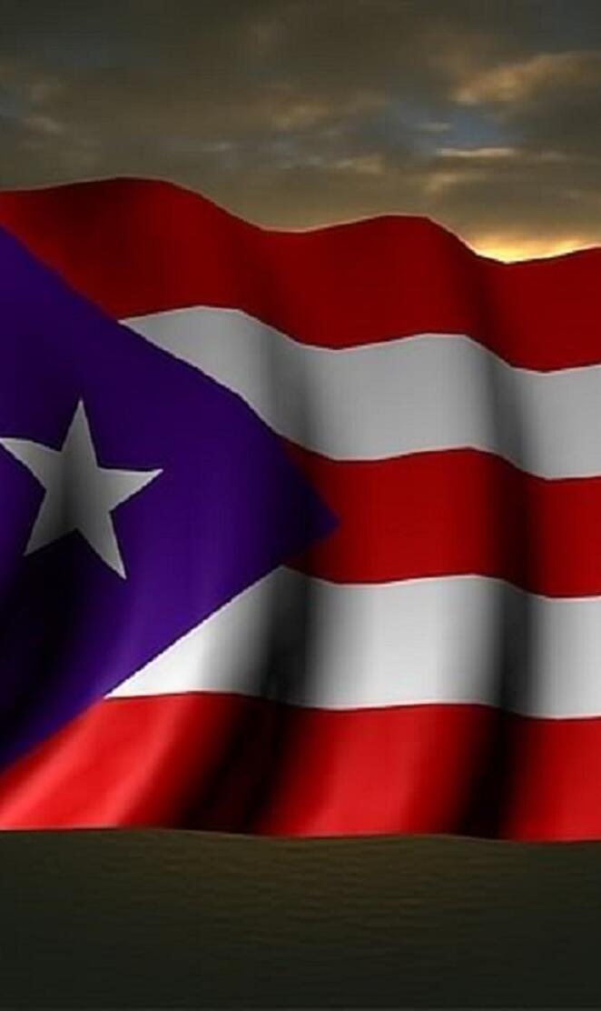Puerto Rican Flag