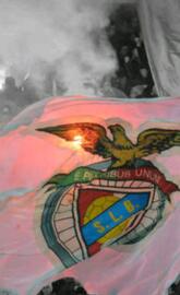 SLB flag 2