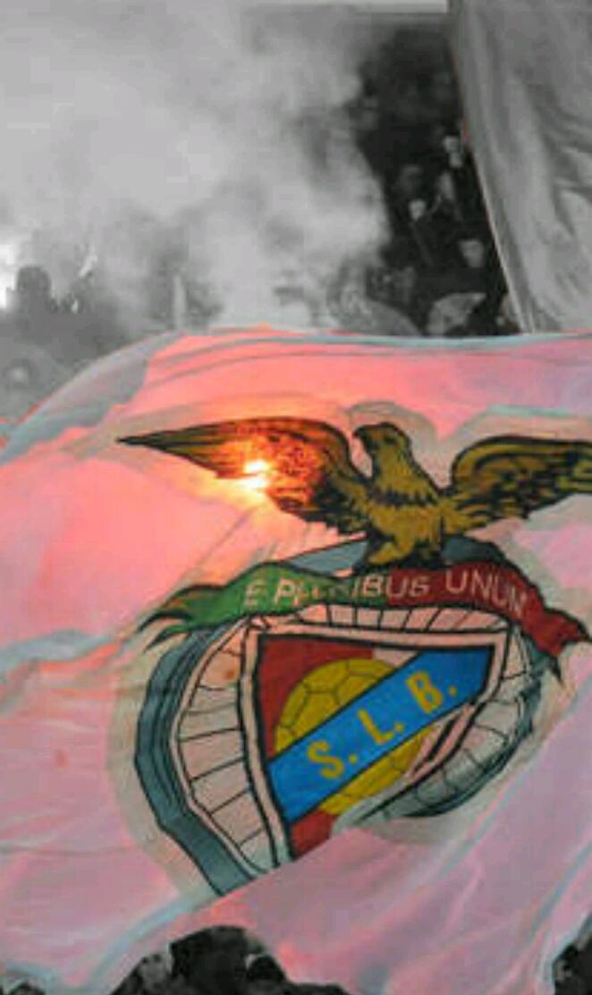 SLB flag 2