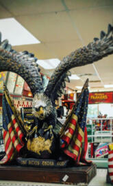 American Flag Eagle