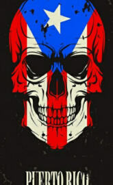 Puerto Rican Skull