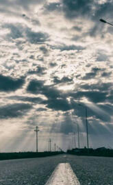 Tomnatic by Nova Pho