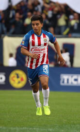 Fernando Beltran