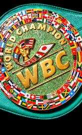World Boxing Council