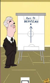 angelotti professional