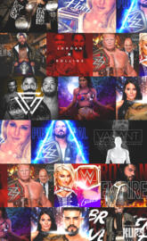 WWE champions