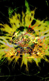 Thunder Champ Rahgan