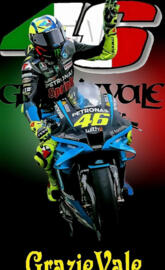VR 46