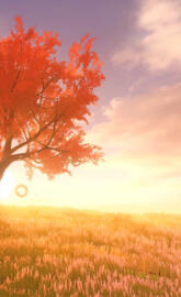 Rocket League - Farm