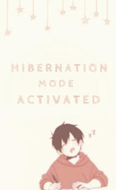 Sleep Mode Activated