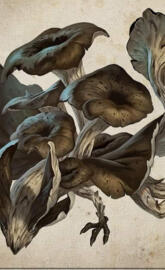 Trompette de la mort