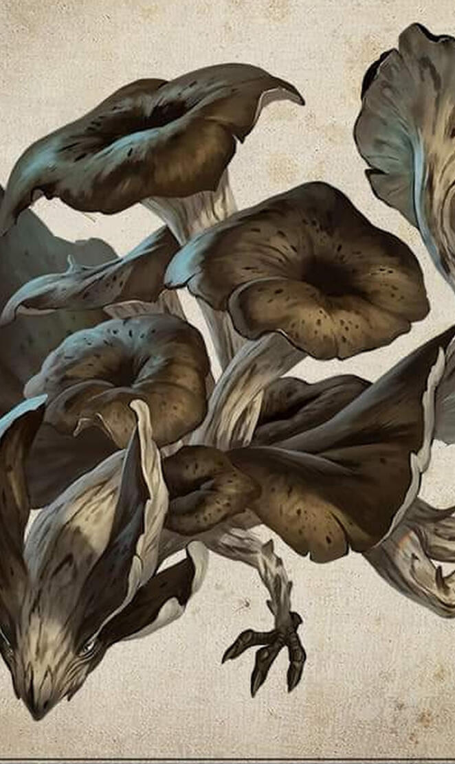 Trompette de la mort