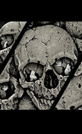 Skull background