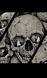 Skull background
