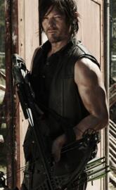 daryl dixon