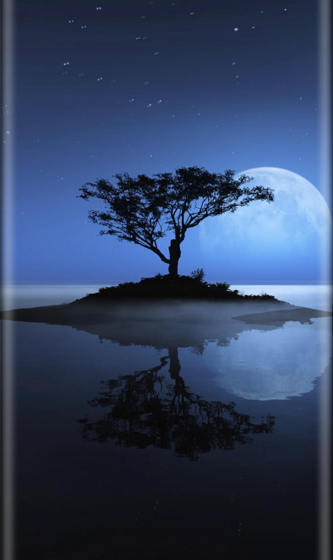 tree moon