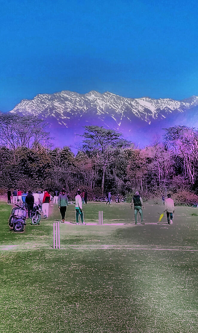 Himachal Cricket 