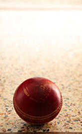 IPL Cricket Ball 