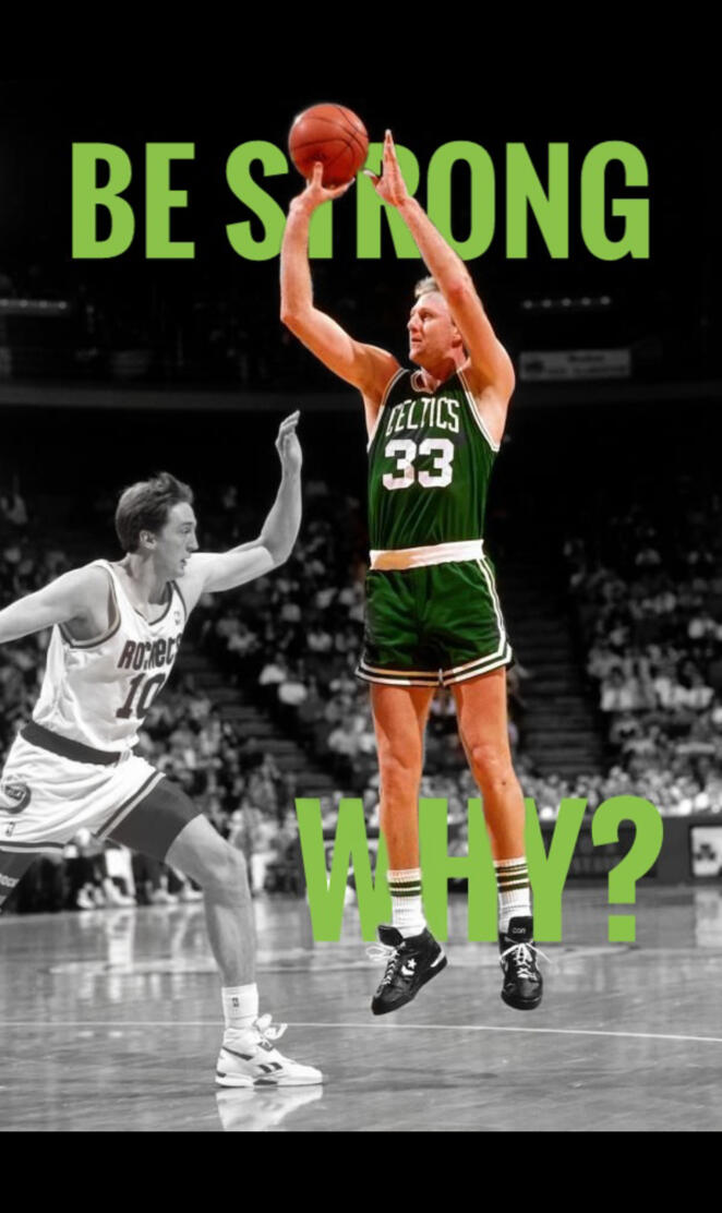 Larry Bird Nba