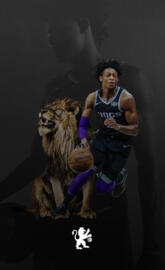 DeAaron Fox Lion