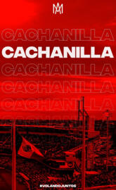 Cachanilla