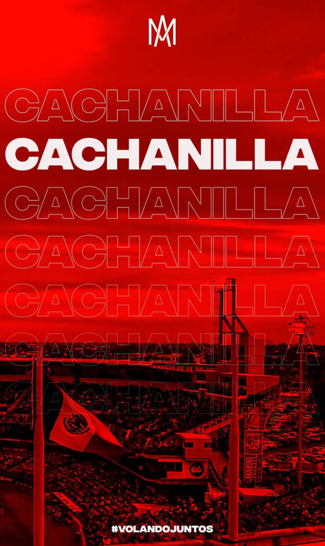 Cachanilla