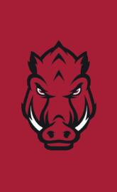 Arkansas Razorbacks