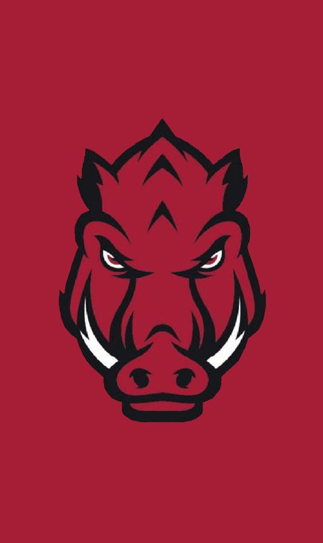 Arkansas Razorbacks