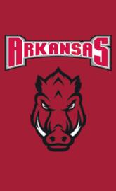 Arkansas Razorbacks
