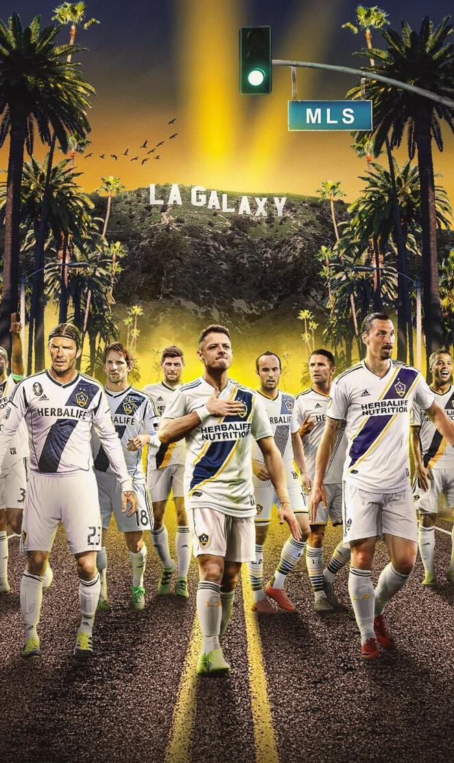 LA Galaxy stars