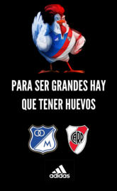 Millonarios F.C