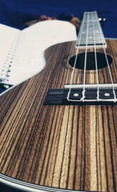 Ukelele concierto