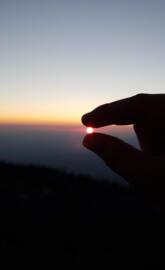 Holding on to beauty