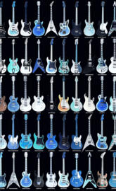 Guitars