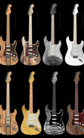 Custom Guitars