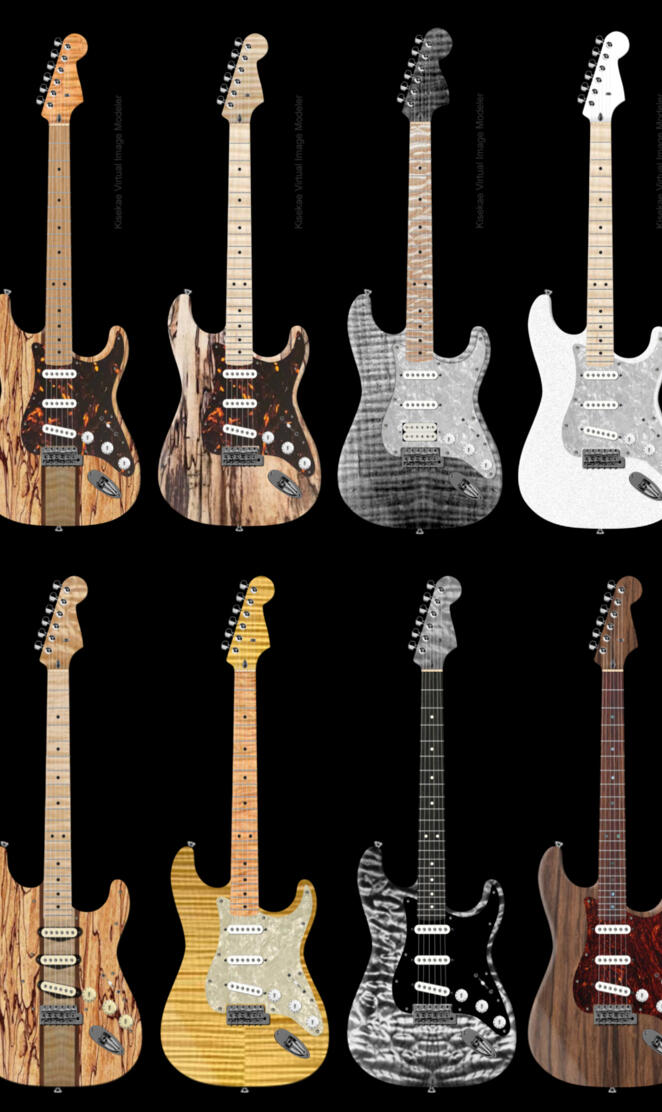 Custom Guitars