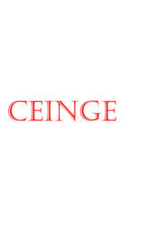 Ceinge logo