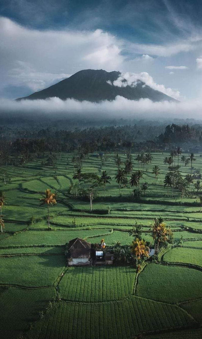 Indonesia 