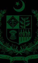 Pakistan logo