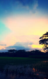 Beautiful Bangladesh