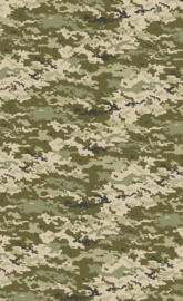 Ukraine Camo