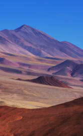Argentina Desert