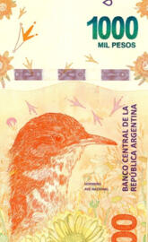 Un Billete de Mil Ar