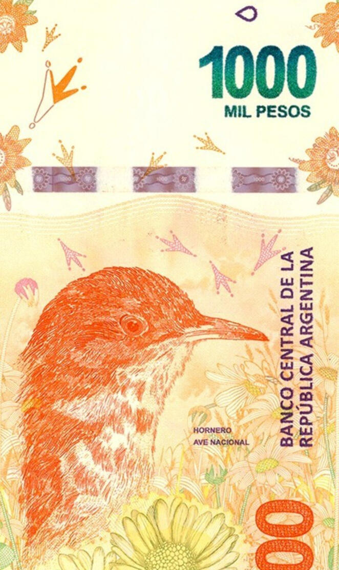 Un Billete de Mil Ar