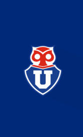 Universidad de chile