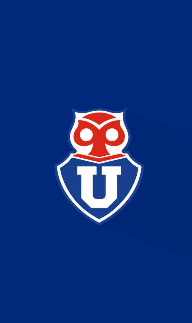 Universidad de chile